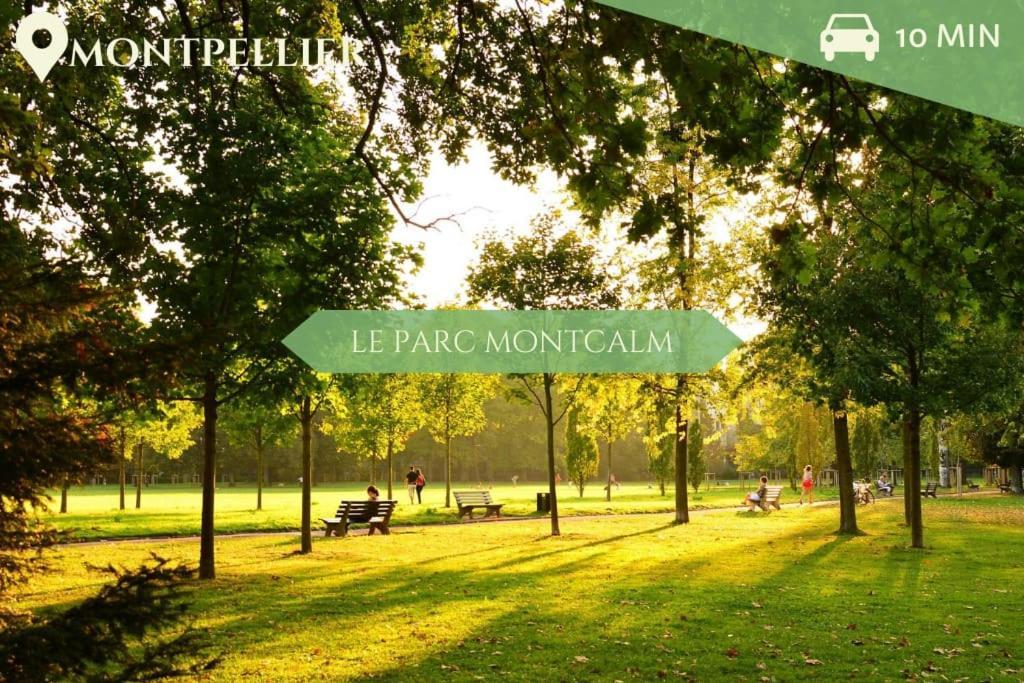 041 - Studio Le Chateau D'O, Appart 4Pers, Parking, Proche Faculte De Medecine มงต์เปอลิเยร์ ภายนอก รูปภาพ