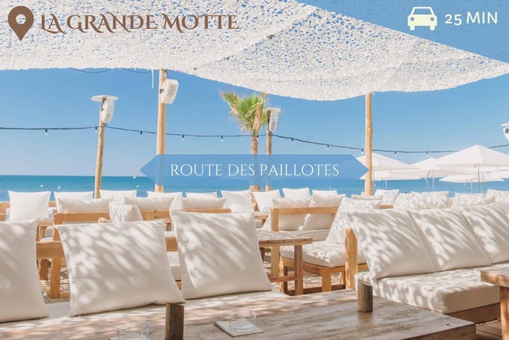 041 - Studio Le Chateau D'O, Appart 4Pers, Parking, Proche Faculte De Medecine มงต์เปอลิเยร์ ภายนอก รูปภาพ